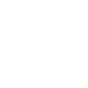 The Andersonburg Place Logo