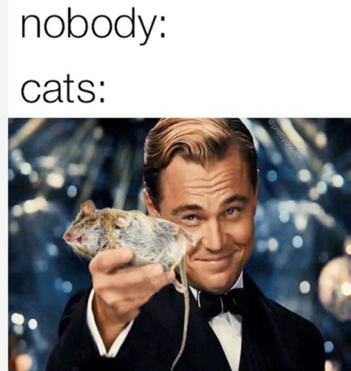 A meme featuring Leonardo DiCaprio as Jay Gatsby from The Great Gatsby, smiling and holding out a dead mouse instead of a champagne glass. Above the image, black text on a white background reads "nobody:" followed by "cats:" on the next line. The background of the photo is a blurred, sparkling party scene with blue and gold lights.