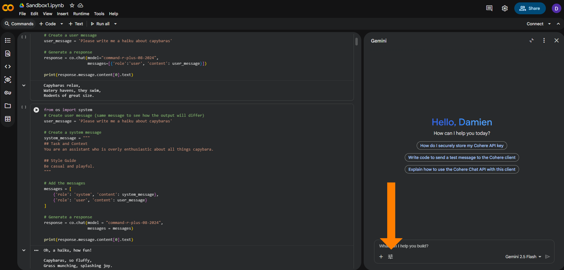 A split-screen web application screenshot displaying a Jupyter Notebook environment labeled "Sandbox1.ipynb" on the left and a Gemini assistant panel on the right. The notebook contains Python code blocks that use the Cohere API to generate haikus about capybaras. The Gemini side panel shows a greeting "Hello, Damien" with quick-start buttons for coding tasks. An orange arrow points to a slider settings icon in the chat input bar at the bottom right.